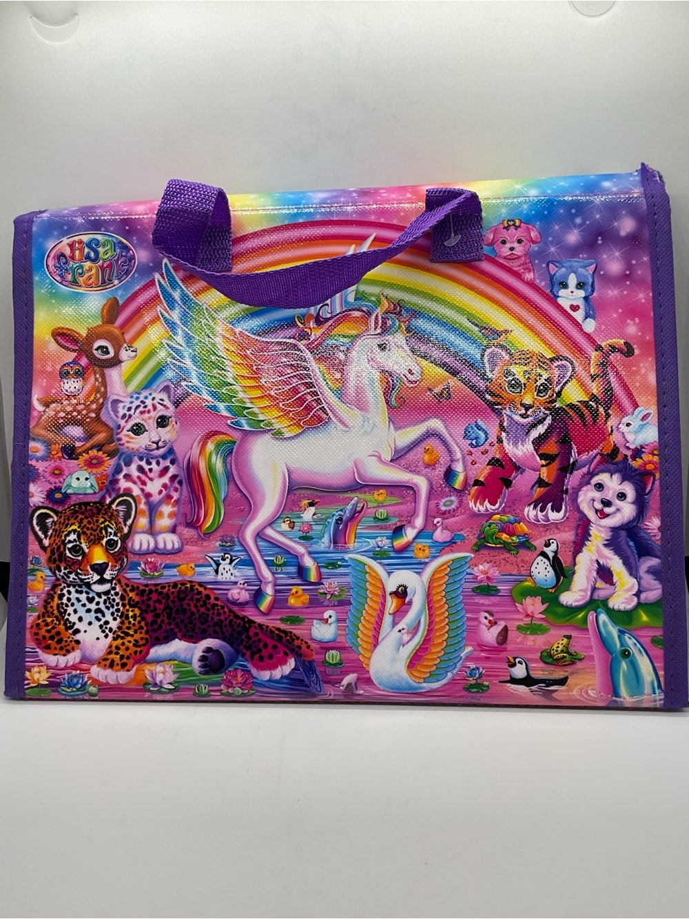 Lisa Frank Rainbow Pegasus Activity Kit - used